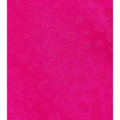 ROBE PENELOPE Fuchsia 9 ROBE PENELOPE Fuchsia -Pas Cher Tendricia Magasin LEAX WD398 V4