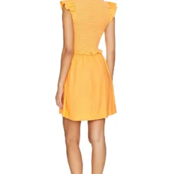 ROBE MINI AVEC SMOCKS GINGER Tang 7 ROBE MINI AVEC SMOCKS GINGER Tang -Pas Cher Tendricia Magasin NATI WD219 V3